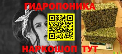 ECSTASY Будённовск