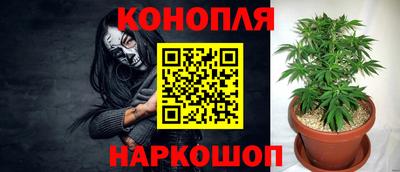 ECSTASY Будённовск