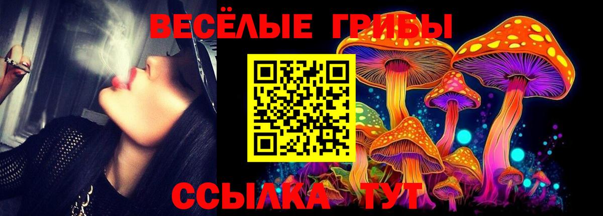 Псилоцибиновые грибы Cubensis Кохма